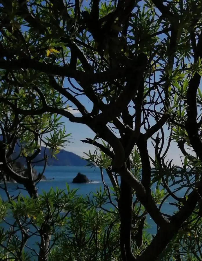 Apartment Chez Villa Rita Monterosso al Mare Italy